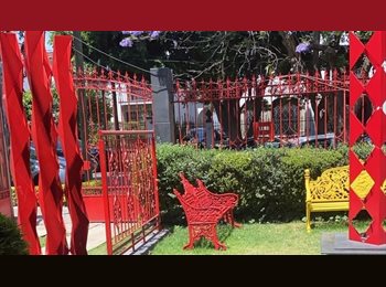 Roomgo MX - Espacios Con Arte Polanco, Miguel Hidalgo - MX$9,500 por mes