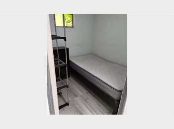 Roomgo MX - Dormitorio amueblado e individual en renta, con áreas comunes compartidas, por calz de Guadalupe y e, México - D.F. - MX$3,000 por mes