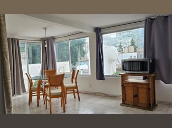 Roomgo MX - Estudio luminoso con terraza en Irrigación/Polanco, Miguel Hidalgo - MX$18,000 por mes