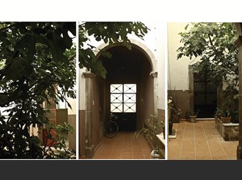 Roomgo MX - Habitación disponible en casa compartida, San Luis Potosí - MX$3,500 por mes