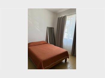 Roomgo MX - Habitación amplia muy cerca de Avenida Chapultepec, Guadalajara - MX$6,500 por mes