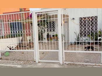 Roomgo MX - Se renta recámara en casa compartida en santa fe, Solidaridad - MX$6,000 por mes