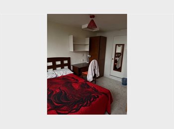 Roomgo MX - Bonito cuarto en Polanco Frente al Hospital Español, Miguel Hidalgo - MX$8,500 por mes