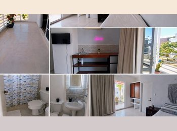 Roomgo MX - LINDO ESTUDIO CON TERRAZA, Solidaridad - MX$6,800 por mes