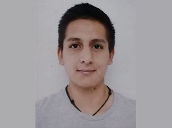 Roomgo MX - Fabian Jimenez - 27 - Alvaro Obregón