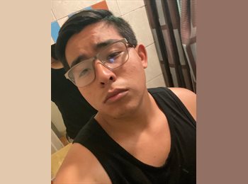 Roomgo MX - Carlos - 19 - Ensenada