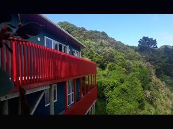 Roomgo NZ - House Of Tawatawa, Wellington - $265 pw