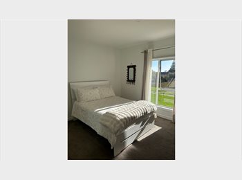 Roomgo NZ - Spacious Furnished Room Close to CBD, Auckland - $300 pw