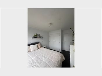 Roomgo NZ - Bedroom with morning sun and massive wardrobe available now in amazing Kingston flat, Wellington - $240 pw