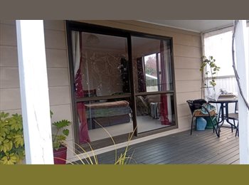 Roomgo NZ - Mitchell's Room, Hamilton - $250 pw