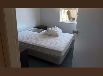Roomgo NZ - Room for Rent, Tauranga - $270 pw