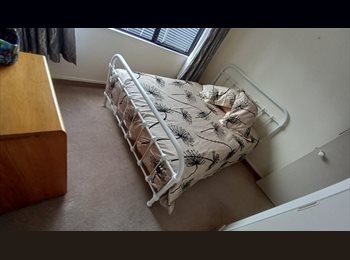 Roomgo NZ - Room Available, Gisborne - $250 pw