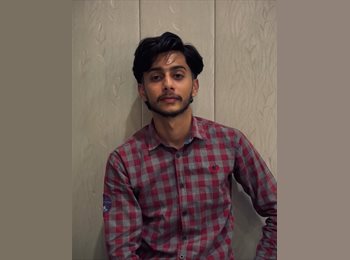 Roomgo NZ - Junaid - 24 - Auckland