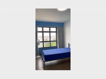 Roomgo SG - Northshore Crescent, Common Room, for rent, Punggol - $800 pm
