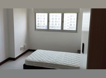 Roomgo SG - Spacious High-Floor Common Room Sengkang | Utilities & WiFi Included | Unlimited Aircon Usage, Punggol - $750 pm