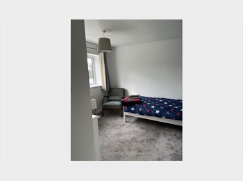 Roomgo UK - Lovely bright room in friendly house, Ryde - £600 pcm