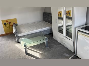 Roomgo UK - Studio flat, Highams Park - £1,000 pcm