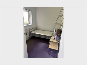Roomgo UK - Single Room £350/Pcm, Available now, Female Only, Ladywood - £350 pcm
