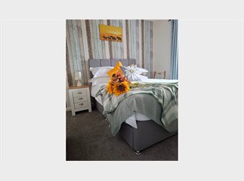Roomgo UK - A luxury room close to Torbay hospital, Torquay - £650 pcm