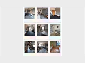 Roomgo UK - Single room to rent for a female, Stockton-on-Tees - £330 pcm