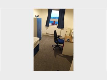 Roomgo UK - Short-Term Room Available (Female Only) | 31 July – 20 August | Bills Included, Rowley Regis - £200 pcm