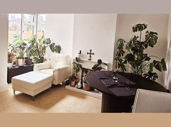 Roomgo UK - Great location,double room professional houseshare, Ipswich - £560 pcm