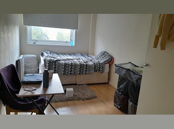 Roomgo UK - Double Room Available in Battersea, Battersea - £900 pcm