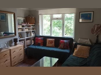 Roomgo UK - Single room in 2 bed flat Acton West London (zone 2), Acton - £900 pcm