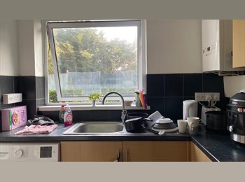 Roomgo UK - Double furnished room, Canterbury - £495 pcm