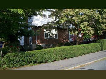 Roomgo US - Jack's Home 212 Fairmount Ave Hyde Park MA, Hyde Park - $1,000 pm