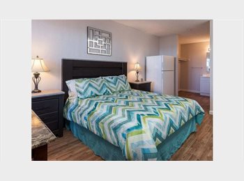 Roomgo US - A Quiet Corner That's Completely Yours, Little Rock - $600 pm