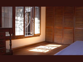 Roomgo AR - Alquilo habitación individual. Single Rooms for Rent in the Center., La Plata - AR$ 670.000 pm