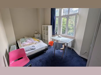 Appartager BE - Chambre avec vue sur jardin dans une colocation à Schaerbeek/Lovely room with gard, Schaerbeek Schaarbeek - 500 € pm