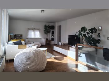 Appartager BE - Colocation à Houtain-le-val, Genappe - 450 € pm