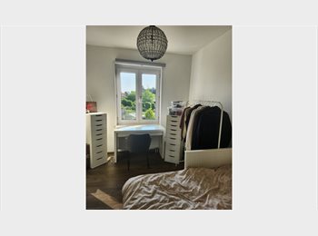 Appartager BE - Chambre lumineuse à louer chez l’habitant – Vilvoorde (proche Bruxelles), Vilvorde - 500 € pm
