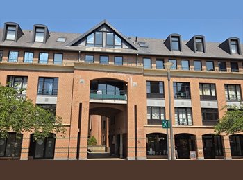 Appartager BE - Colocation d’une chambre meublée dans un appartement (tout meublé) pour personne seule ou en couple , Louvain-la-Neuve - 950 € pm