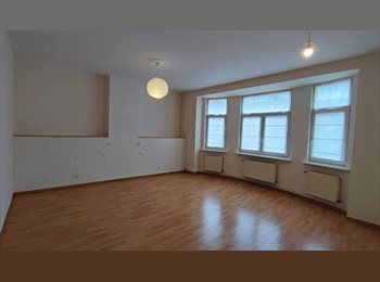 Appartager BE - Chambre très spacieuses d’étudiant à Evere dans une colocation de 5., Evere - 750 € pm