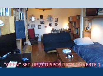 Roomgo CA - Salon Double FANTASTIK Double Room -ds/in  6 1/2 Mile-End, Montréal - $740 pcm