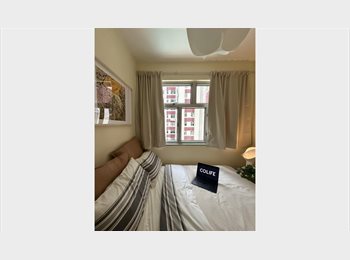 Roomgo HK - Cozy Budget Room in North Point, North Point - HKD9,900 pcm
