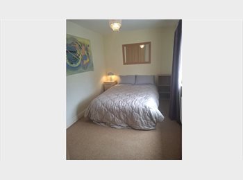 Roomgo IE - Double room to rent €140 a week Monday to Friday - can arrange including the weekend if required and, Ireland - €560 pcm