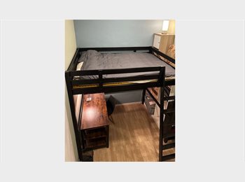 Roomgo IT - Stanza Roma Centro, Esquilino S.Lorenzo - 580 € al mese