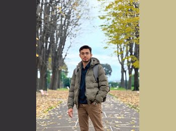 Roomgo IT - Muhammad Hassnain - 20 - Napoli