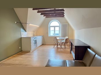 Appartager LU - STUDIO dans Magnifique Maison Rénovée des Années 1910 à Differdange — Colocation pour 4-5 Personnes, Esch-sur-Alzette - 1.400 € / Mois