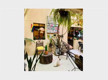 Roomgo MX - InstagrAM: Casa Margarito, Guadalajara - MX$4,700 por mes