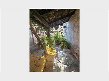 Roomgo MX - Habitacion 5 - CASA AXOLOTL - BY CASA ALEBRIJE, Guadalajara - MX$7,000 por mes