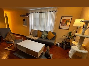 Roomgo MX - Se busca roomie en la San Rafael, Cuauhtémoc - MX$8,500 por mes