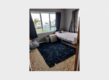 Roomgo NZ - Two flatmates wanted feilding, Palmerston North - $216 pw