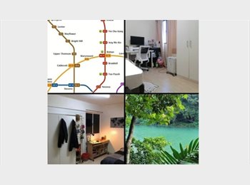 Roomgo SG - Greenaries with privacy! , Ang Mo Kio - $1,000 pm