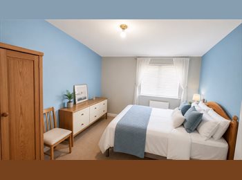 Roomgo UK - 1 bedroom for rent, Newtown - £500 pcm