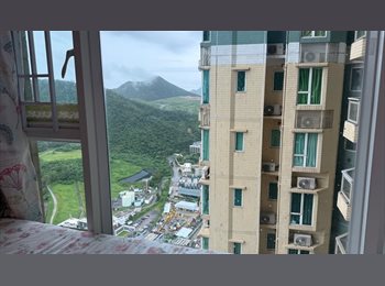 Roomgo HK - Lohas Park Le Prestige – High-Floor Pink-Themed Room for Female Flatmate , Tseung Kwan O / Hang Hau - HKD9,250 pcm